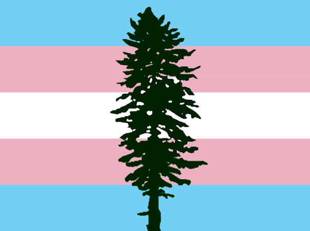 Cascadia Douglas Fir flag with trans stripes.